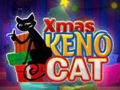 Игровой автомат Xmas Keno Cat (Рождественский КеноКот) играть в казино Вулкан Платинум